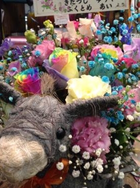 アフロ★ロバ|「フラワーブティック　ポンポンデイジー」　（大阪府堺市中区の花屋）のブログ
